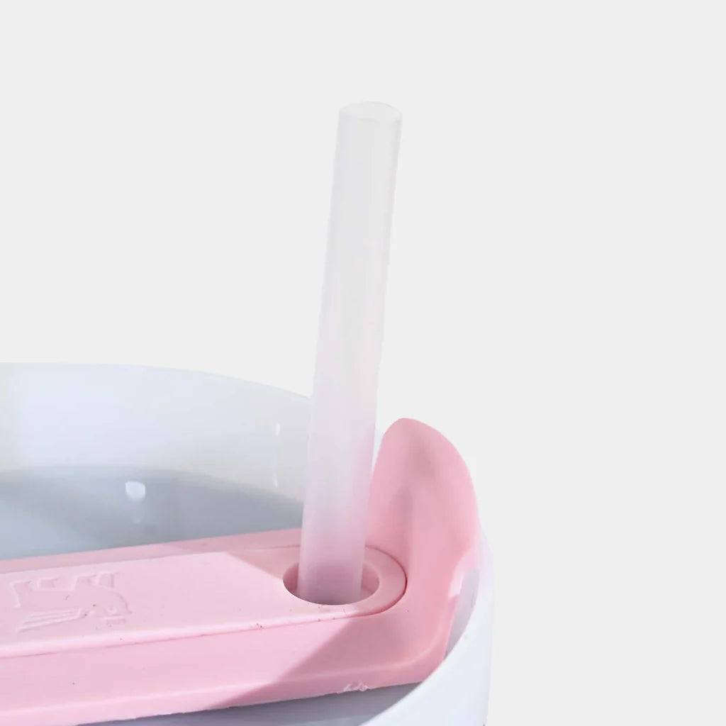 Stanley Quencher Tumbler/Mug