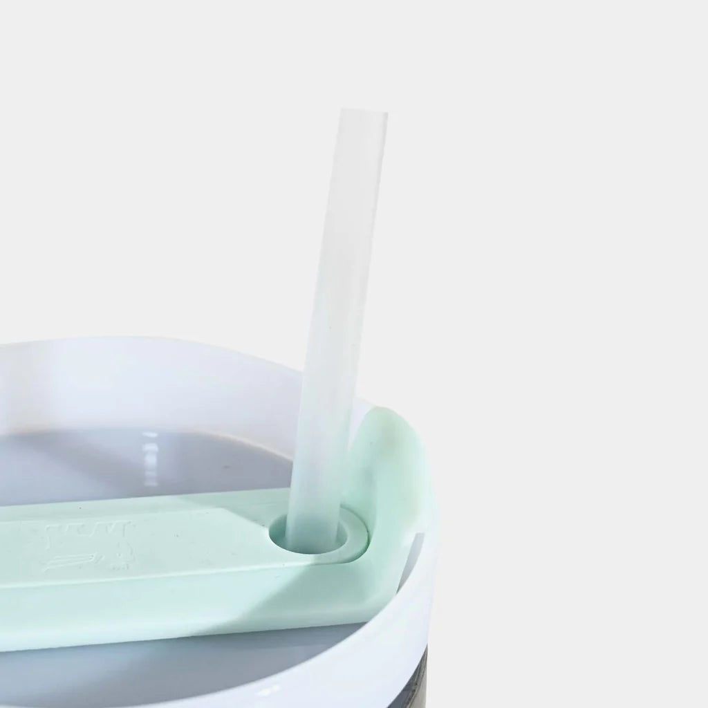 Stanley Quencher Tumbler/Mug