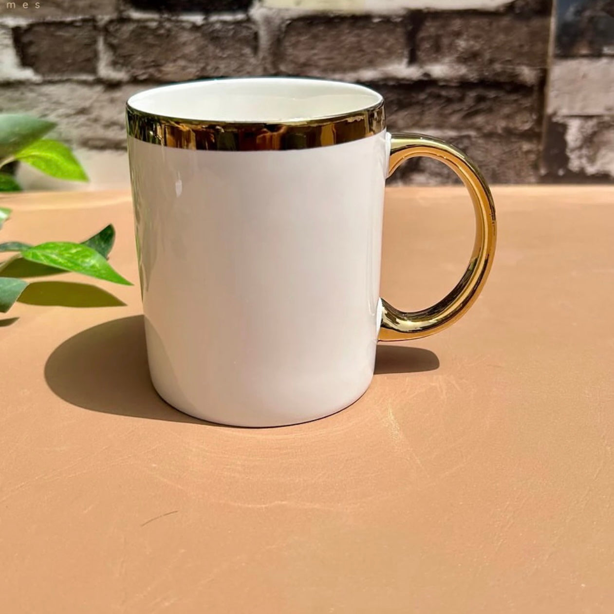 Mugs with gold border- elegant and durable 300ml