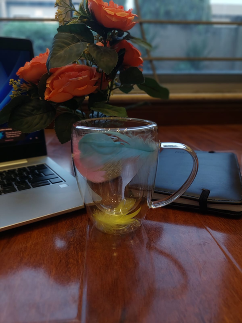 double-walled glass cup with some decorative feather
